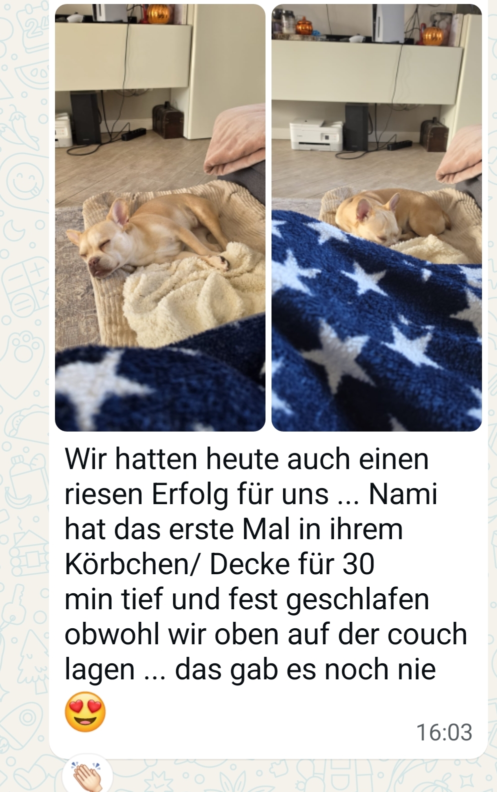 Teilnehmerin schreibt: Nami hat das erste Mal 30 min tief geschlafen
